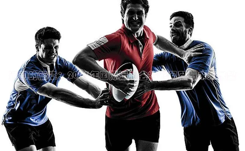 运动的篇章：2023年国际运动会精彩回顾与未来展望