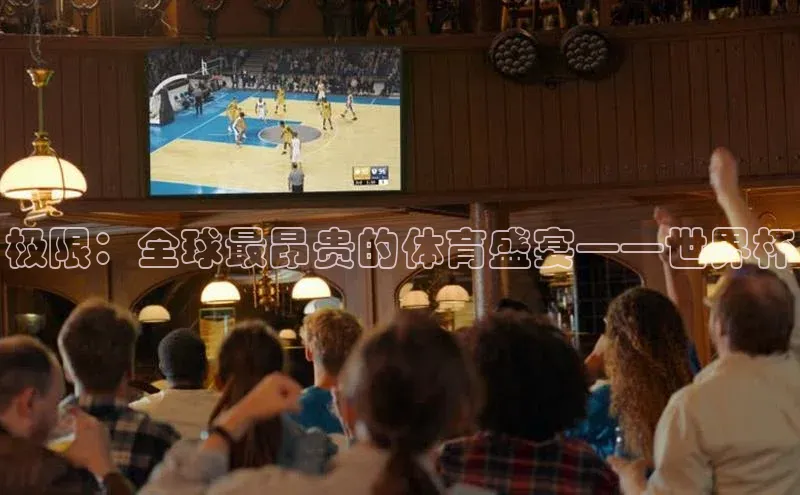 极限：全球最昂贵的体育盛宴——世界杯