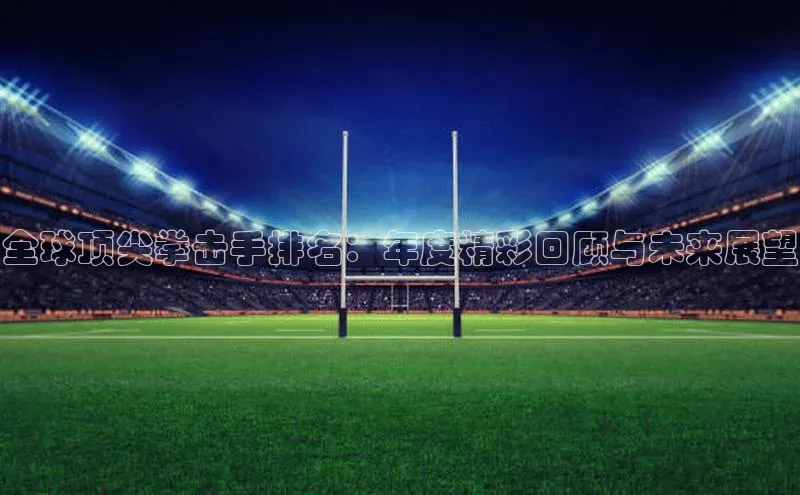 全球顶尖拳击手排名：年度精彩回顾与未来展望