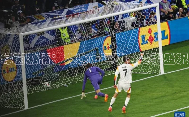 绿茵激情：大连市运动会赛事盛况