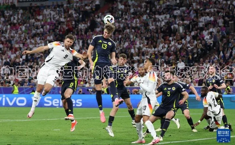 中国小众运动的精彩：最新赛事排名