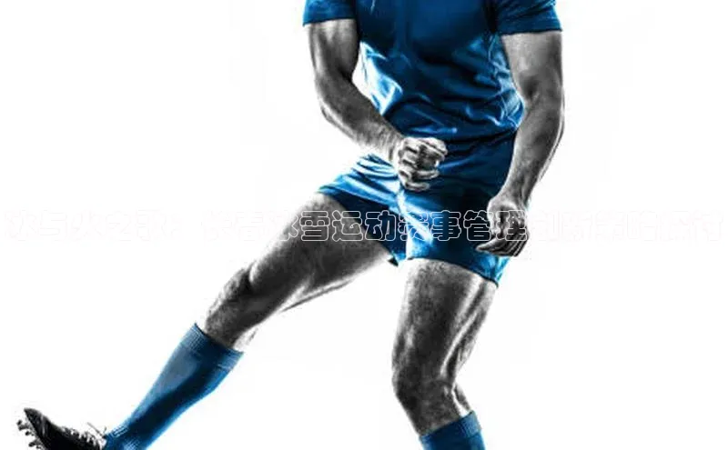 冰与火之歌：长春冰雪运动赛事管理创新策略探讨