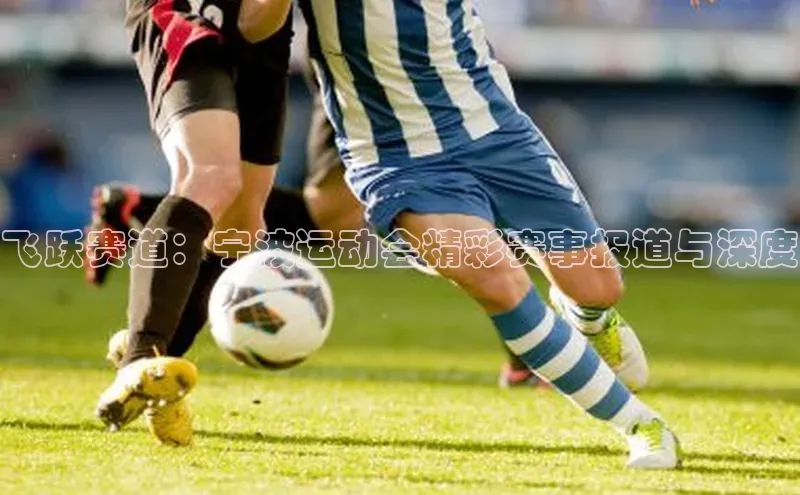 飞跃赛道：宁波运动会精彩赛事报道与深度