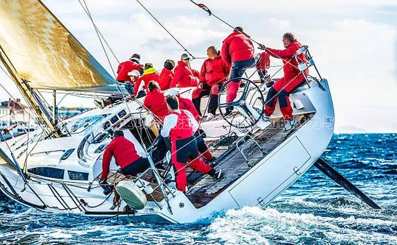 国际蹦床锦标赛：这项充满活力的极限运动的魅力与未来趋势