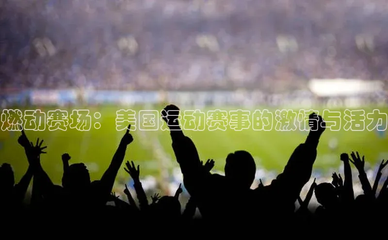 燃动赛场：美国运动赛事的激情与活力