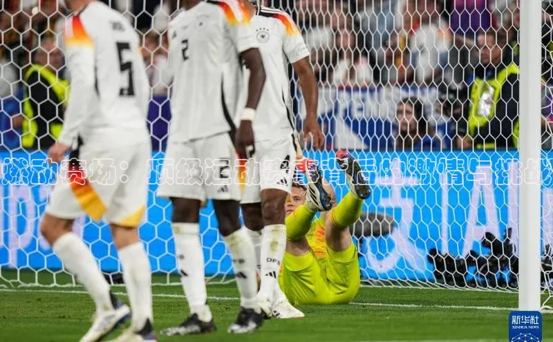 非凡体育2121app官网版