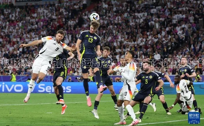 2121非凡体育app平台下载