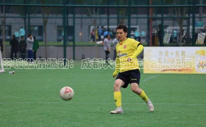 2121非凡体育app平台下载